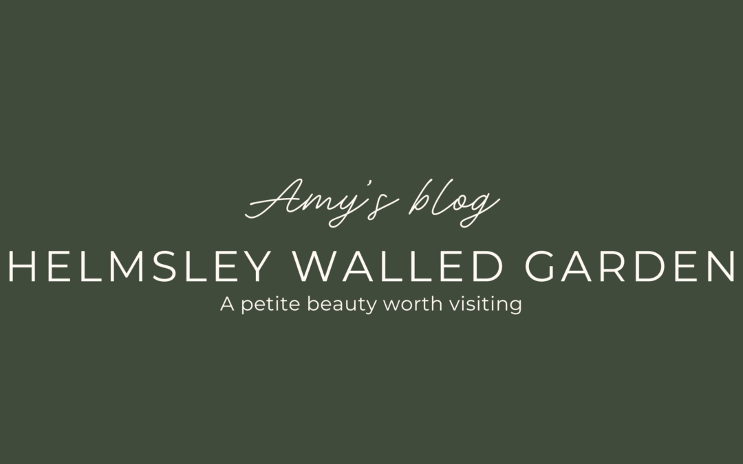 blog banner, dark green with white font, Amy's blog, Helmsley Walled Garden, a petite beauty worth visiting