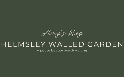 Helmsley Walled Garden – A Petite Beauty Worth Visiting