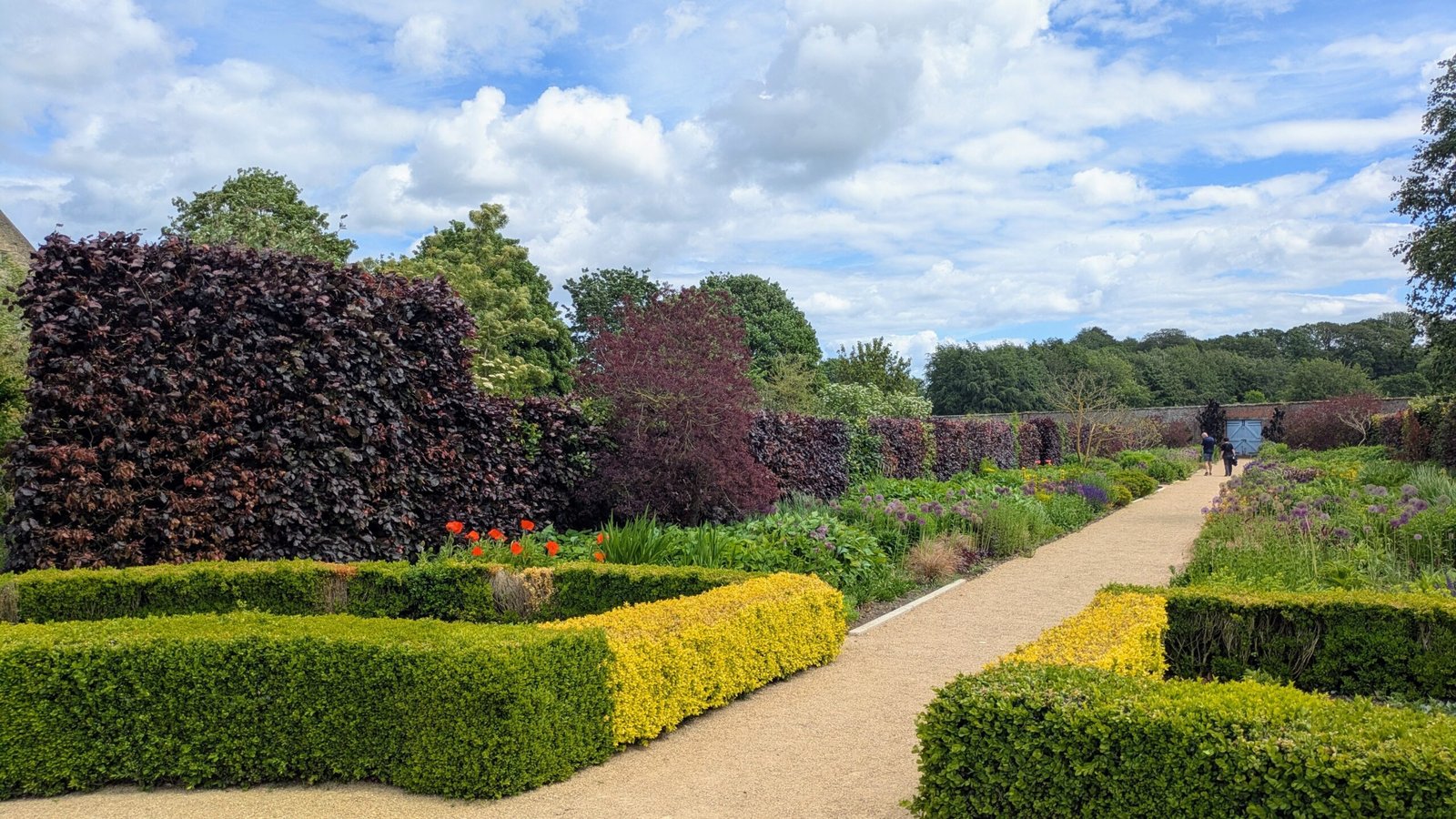image of helmsley walled garden, neatly pruned low hedges and a path leading to a wall with a large blue gate.
